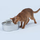 Uah Pet 2025 Upgrade Stainless Steel Wireless Pet Water Fountain