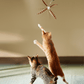 Cat Wand Toy with 4 replacement teaser head